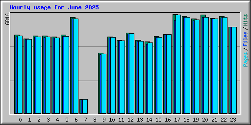 Hourly usage for June 2025