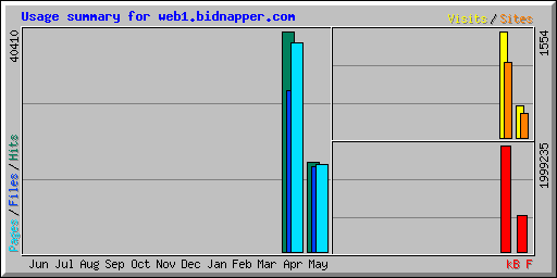 Usage summary for web1.bidnapper.com